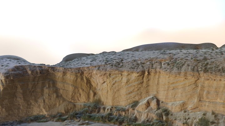 A Flower Structure in Big Bend Ranch State Park 3D Model