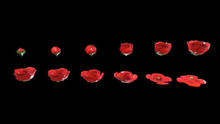 Digital_Flower_F_c_by xyzuvwopq 3D Model