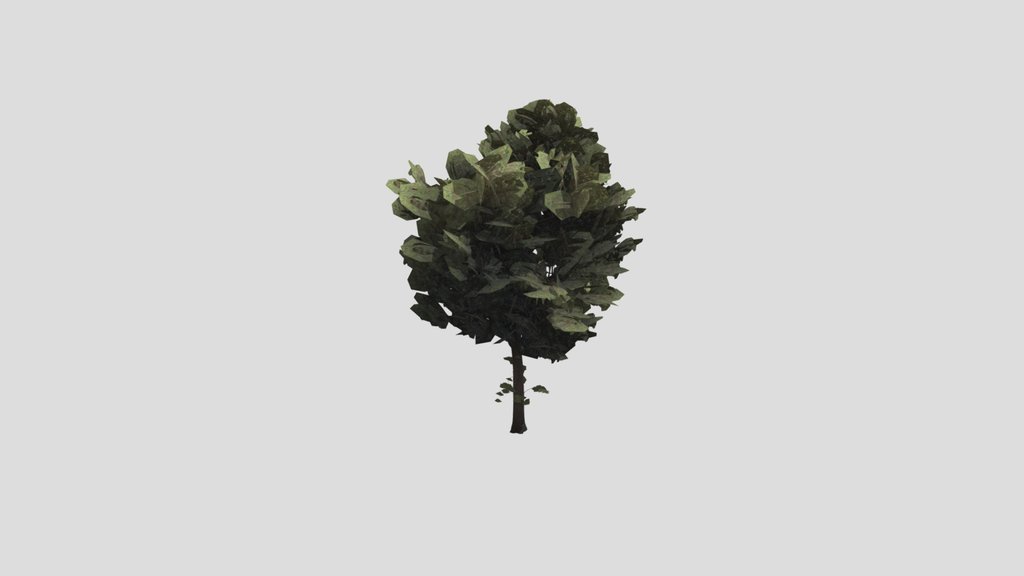 Tree Alder A5 Large