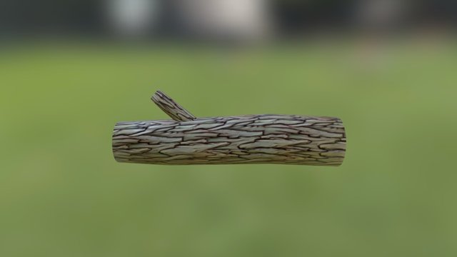 Log 3D Model