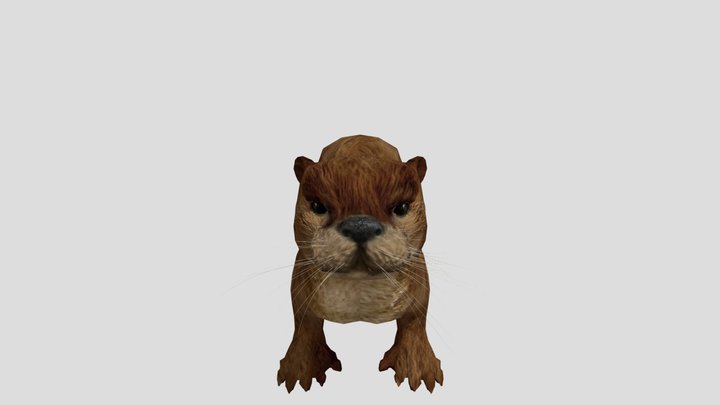 Chungungo - Lontra felina 3D Model