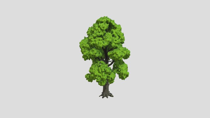 tree 3D Model