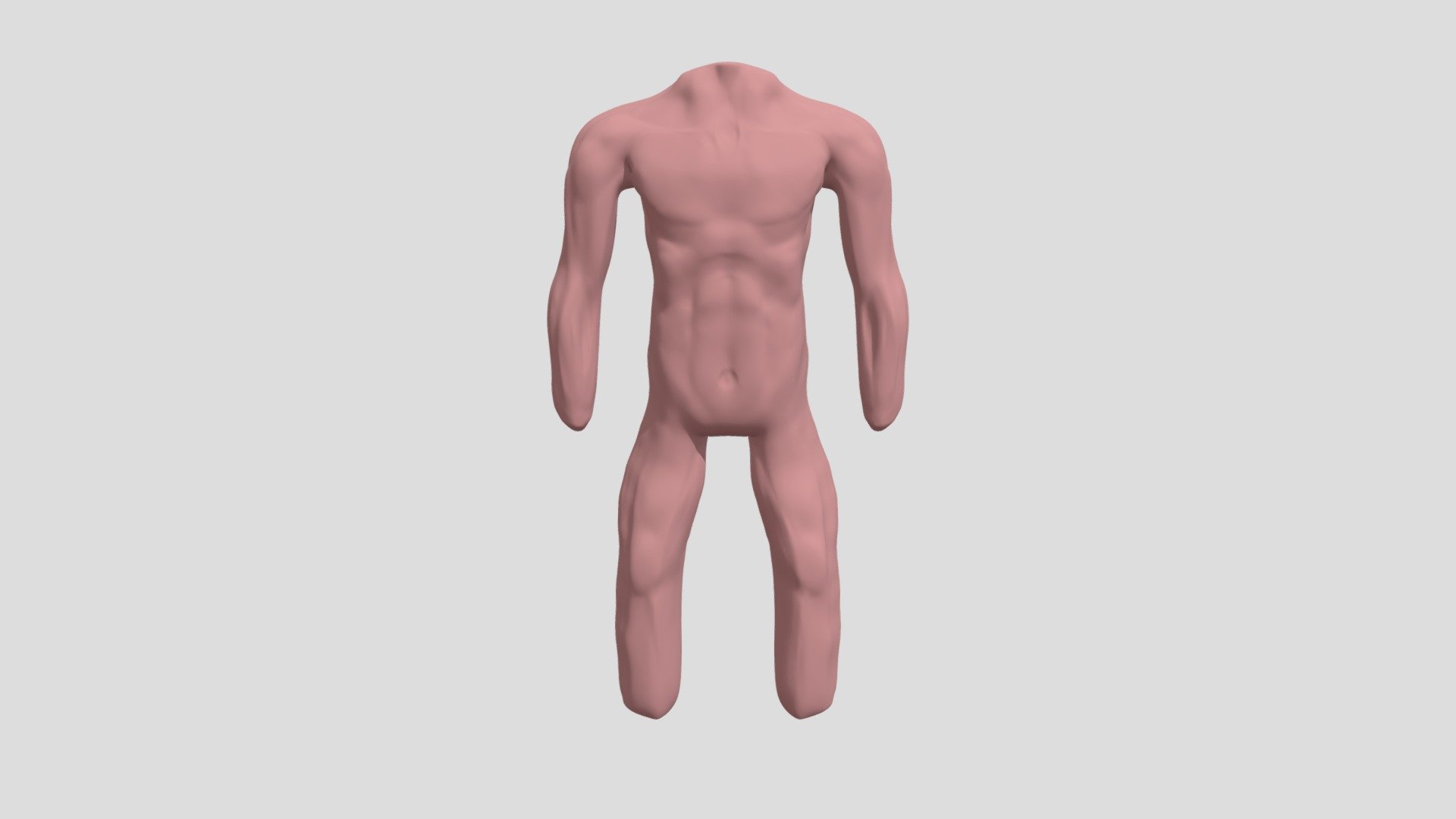 cuerpo humano
