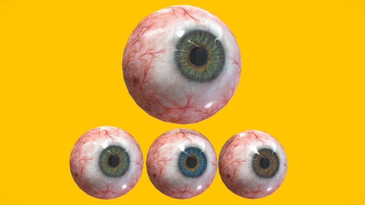 Eye anatomy photorealistic eyeball 3D Model