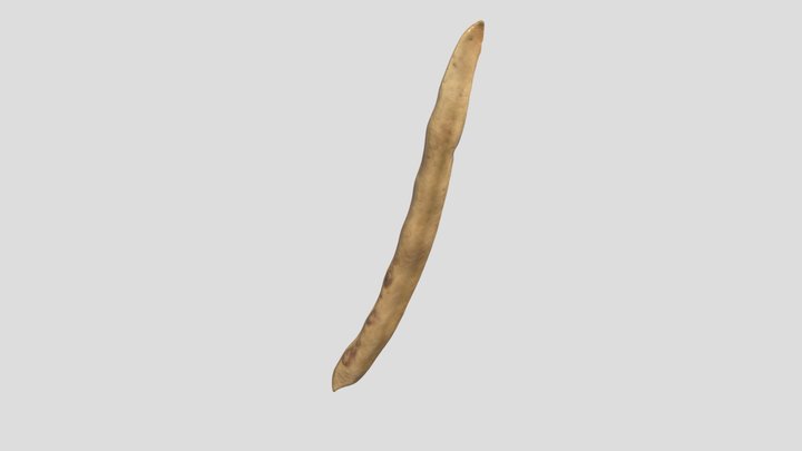 Potawatomi Rabbit Eye Cowpea Pod