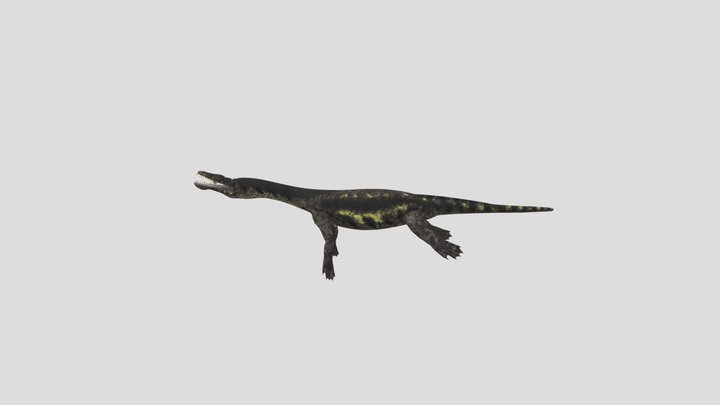 monitor lizard
