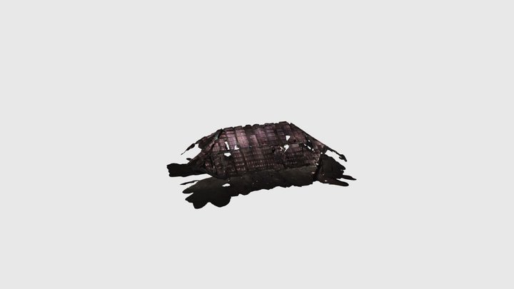 Roof - 49 Buxton 3D Model