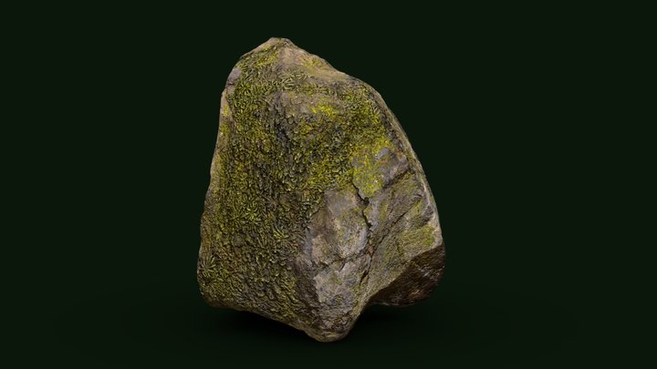 Northen forest stone High poly 3D Model
