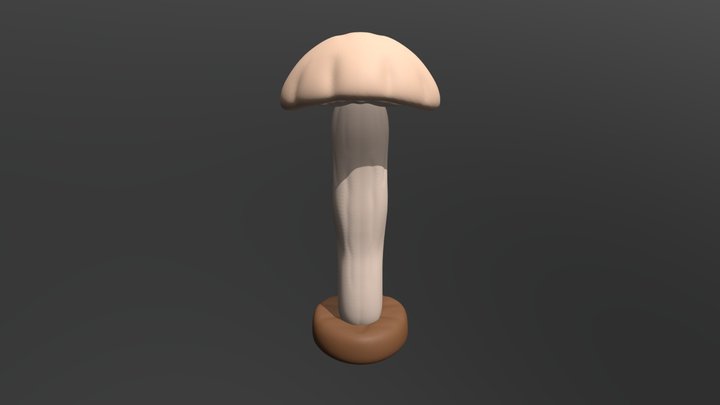 Stylized Mushroom 3D Model - Cute Fantasy