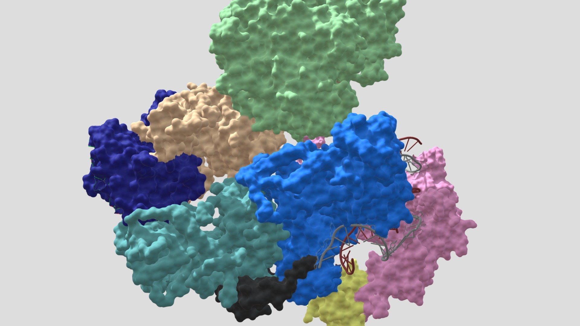 TFIIH-RAD4-RAD33 complex bound to damaged DNA - 3D model by Juejie ...