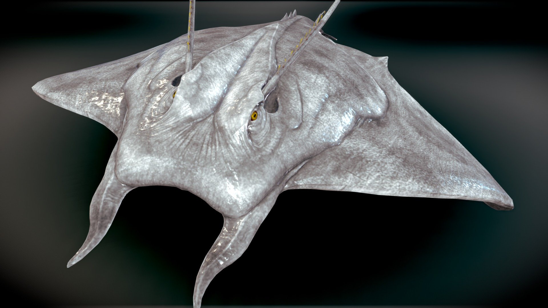 RAY MARINE MANTA BLANKET - 3D model by Rdam 3D Pictures (@rdam