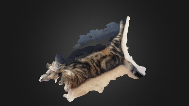 Jetlag 3D Model