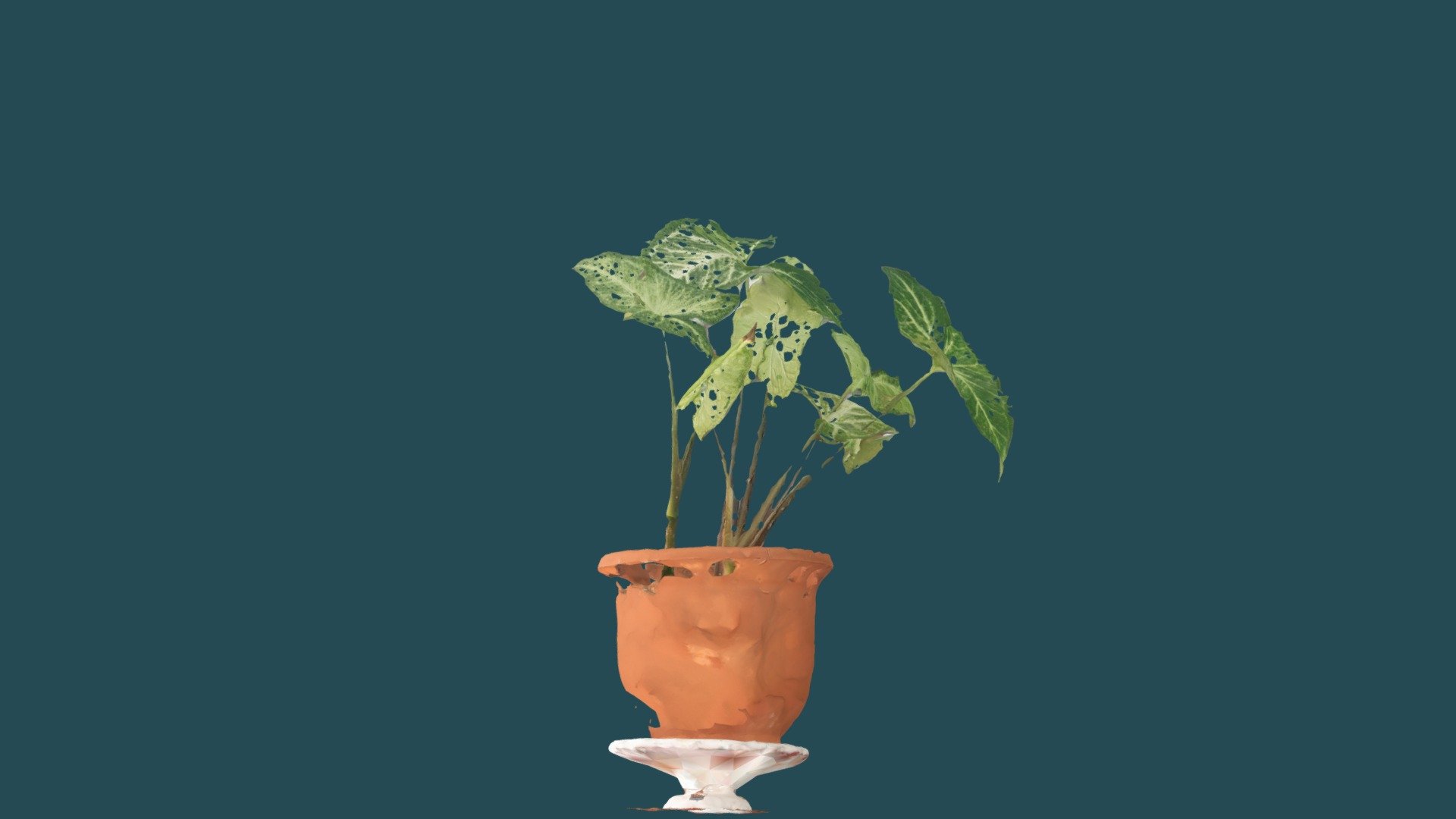 mi planta posguerra