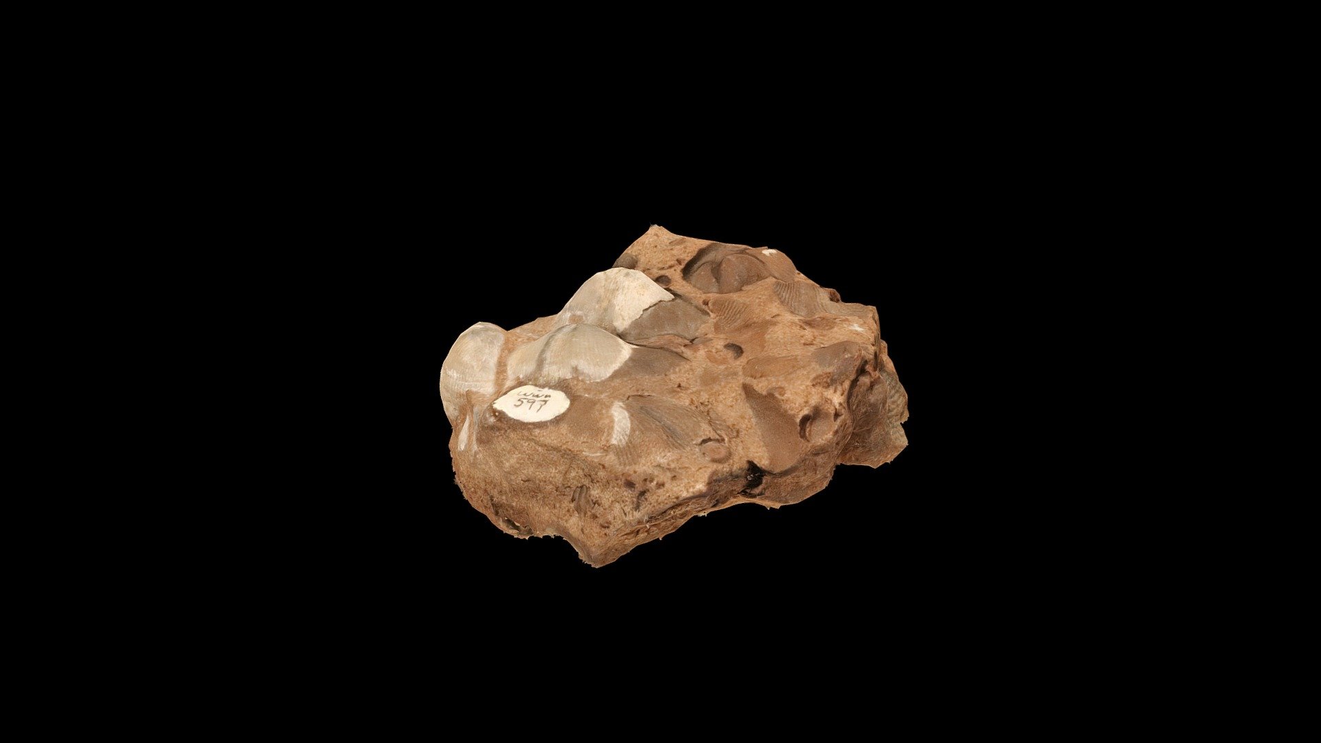 Geol316 1E Download Free 3D model by WWU Geology (WWUGeology