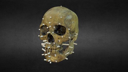 CráneoMongoloide 3D Model
