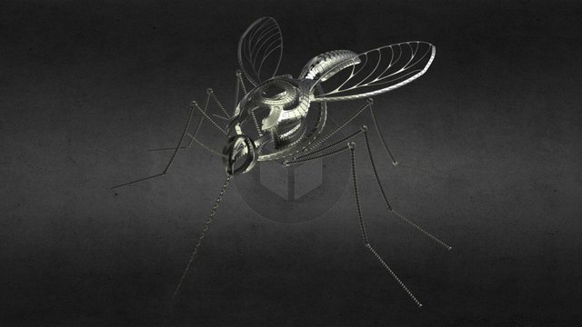 A mosquito 3D Model