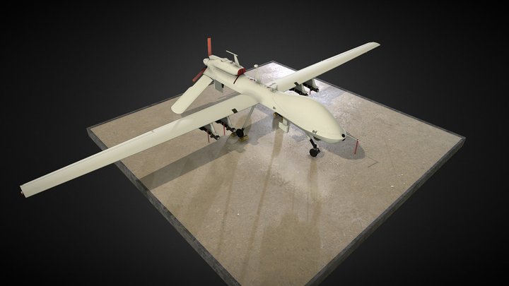 gray eagle 3D Model