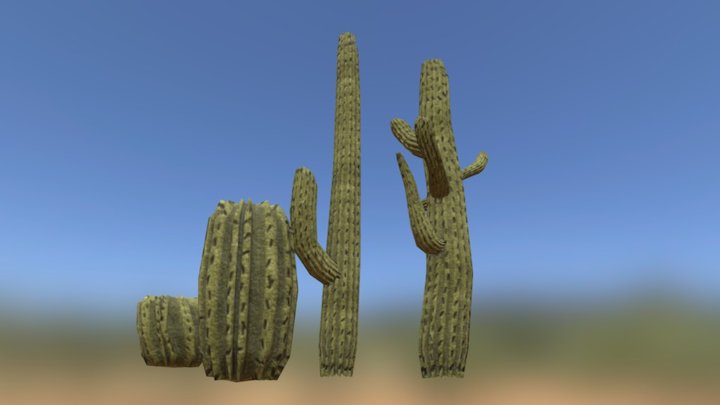 Cacti 3D Model