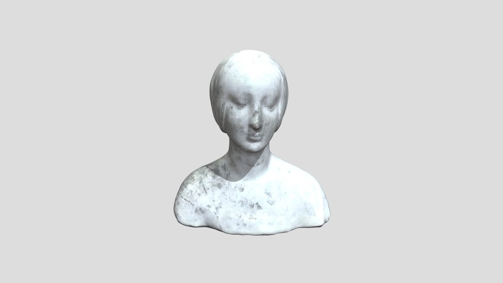 Bust Of A Woman