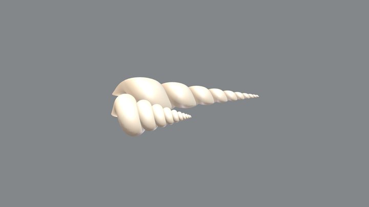 Sea Shell 3D Model