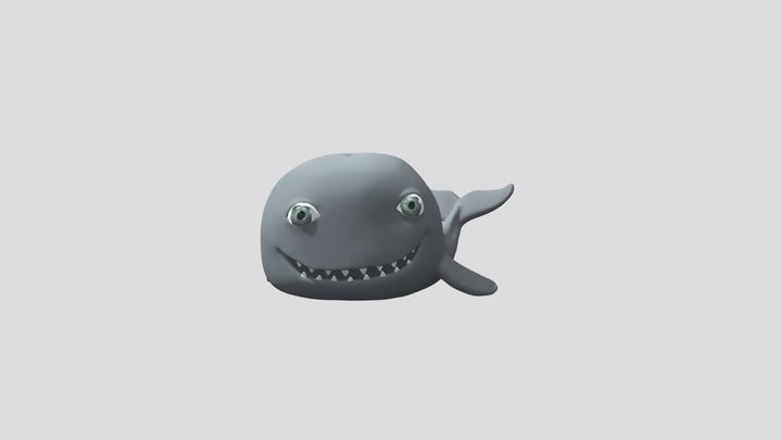 sea life whale