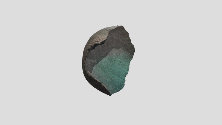Glyptodon fossil shell 3D Model