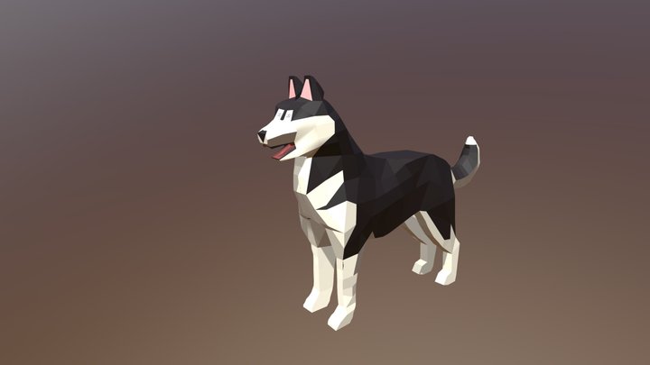 Siberian Husky - low poly model 3D Model