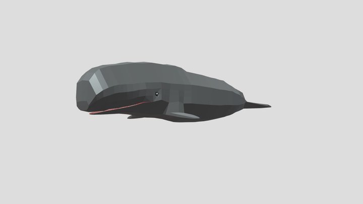 Livyatan low poly model 3D Model