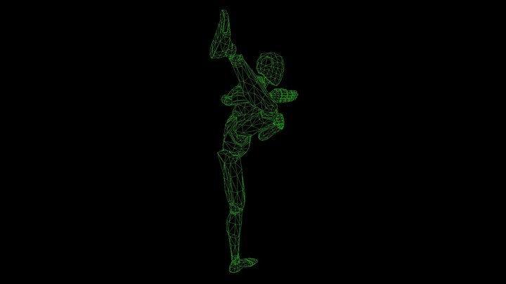 Hook Kick 3D Model