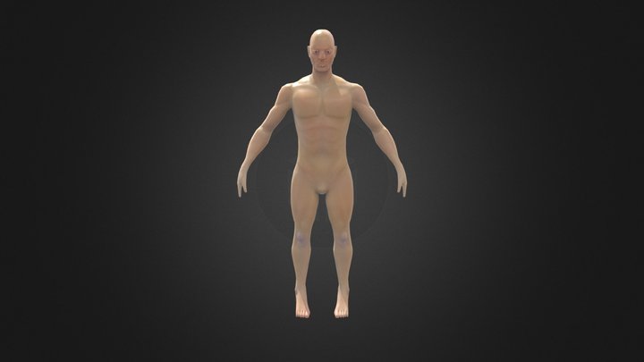 Male Base Model 3D Model