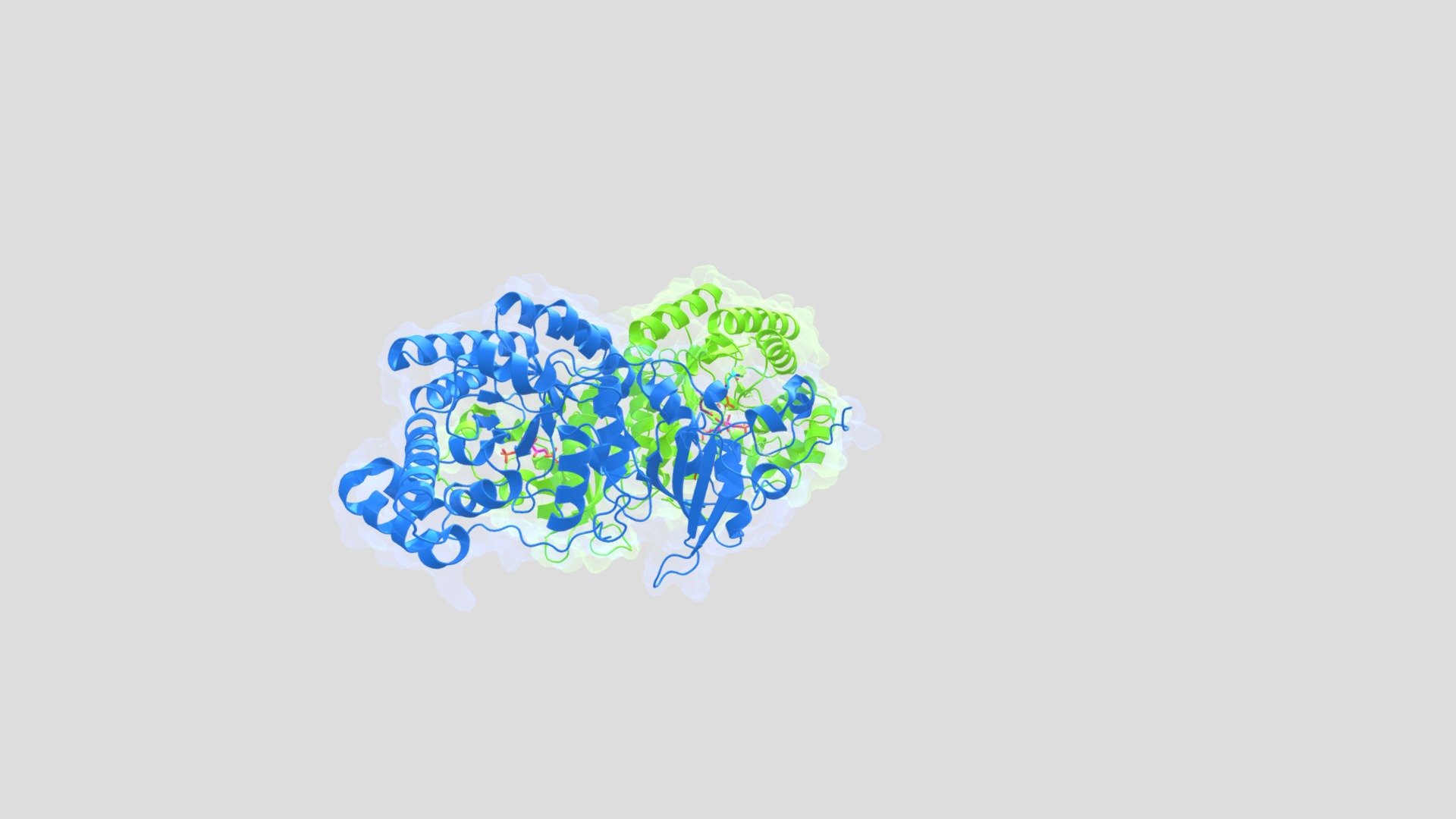 Inhibition of Rubisco - Download Free 3D model by RuBosco [4c98ceb ...