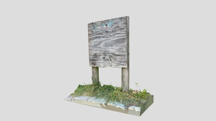 Scan 2023-06-01T19:07:15.588Z 3D Model