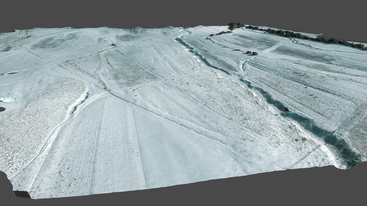 Snow landscape 3D Model
