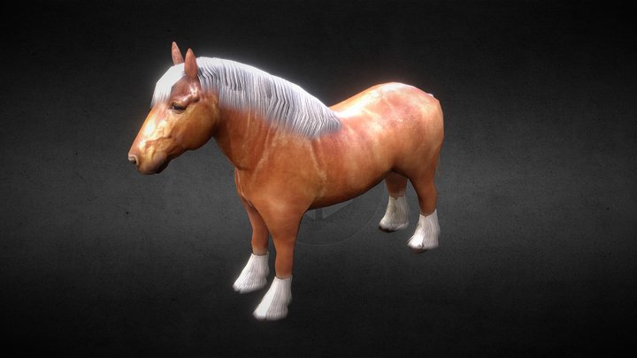 Breton Horse 3D Model