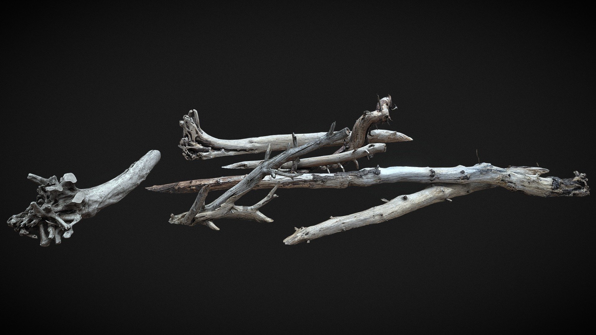 Driftwood Logs Collection - 3D Scanned - Buy Royalty Free 3D model by ...