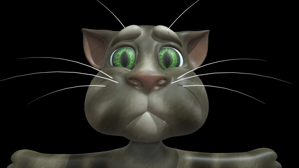 Talking Tom 2010
