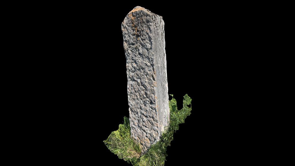 Pierre à sabot Nyon-Calève