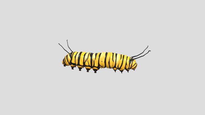 ULAT KUPU KUPU 3D Model