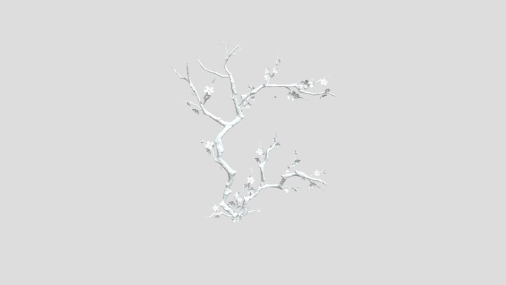 Prunus mume – Modello 3D gratuito STL
