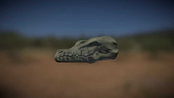 Crocodile Head Sculpt 3D Model