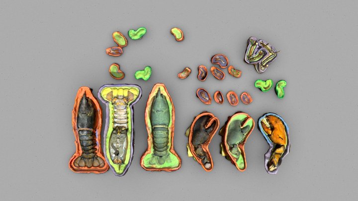 lobster casting parts – Kostenloses 3D-Modell STL