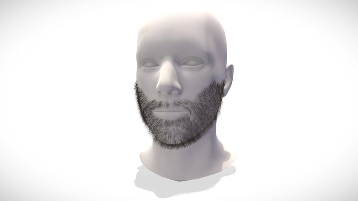Facial Hair Short Beard 3D Model