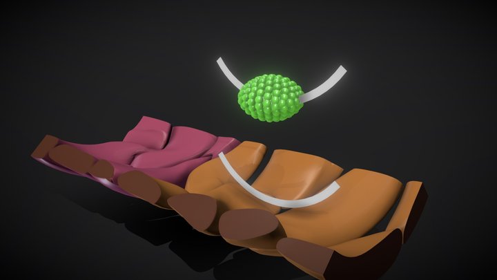 Kreftbehandling med bobler av nanopartikler 3D Model