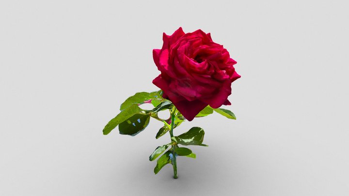 Rose – Gratis 3D-model STL