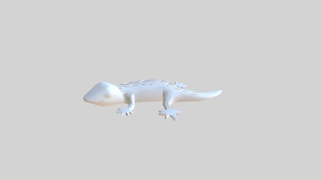 Gecko 3D Model