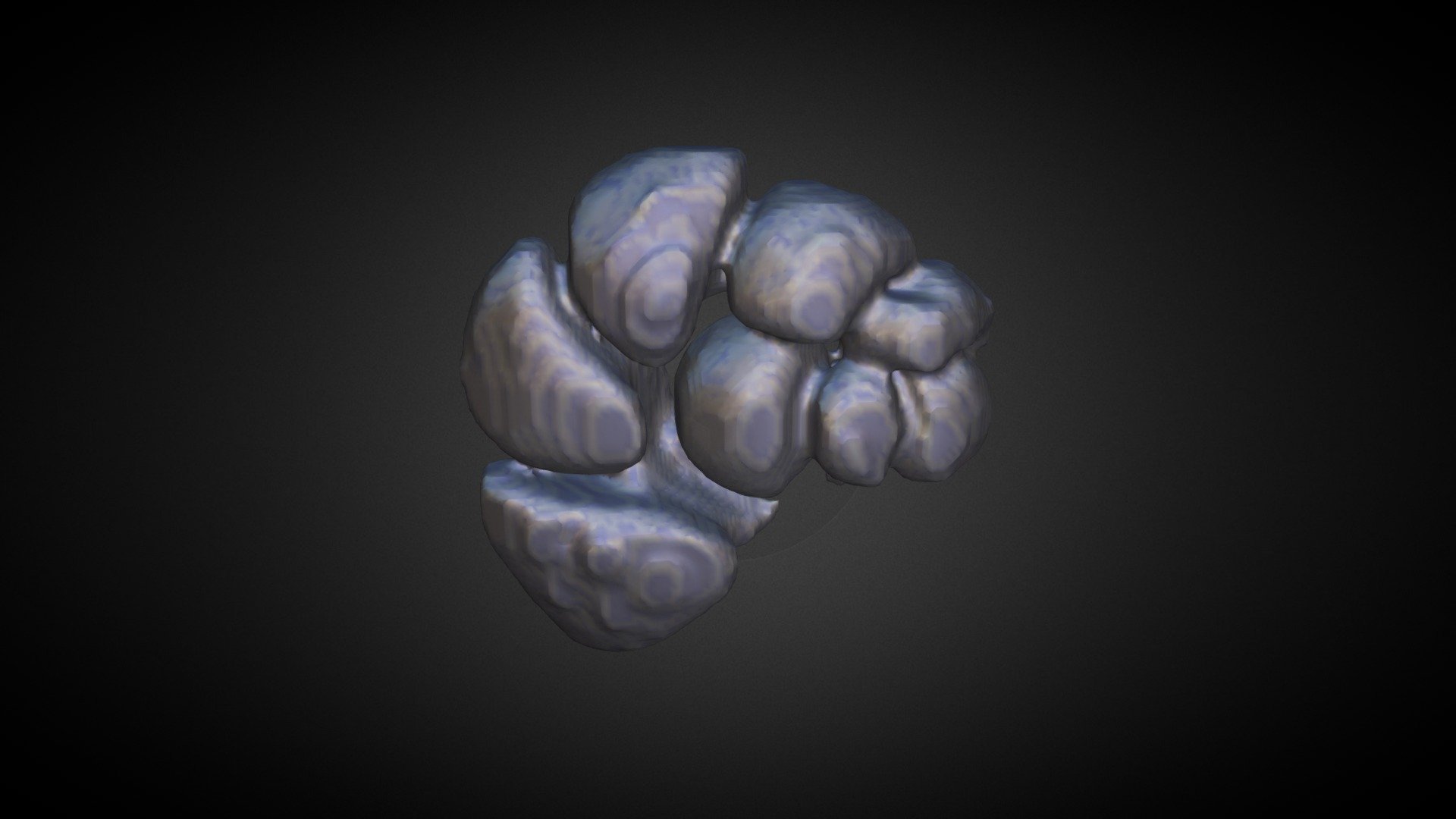 Internal Chambers Epibiont 1 3D model by LMPT [4ccbb88] Sketchfab