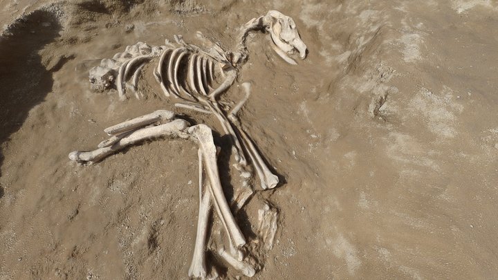 Archeology-02 3D Model