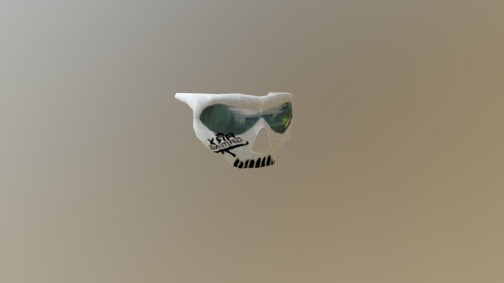 GOGGLE ARX 3D Model