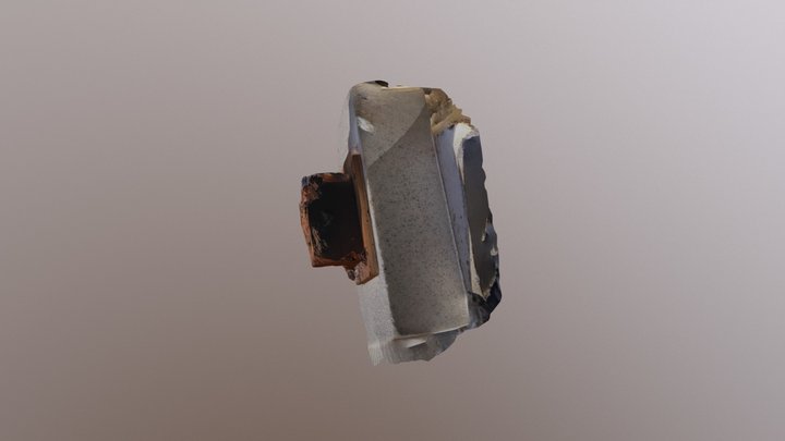 C 3D Model