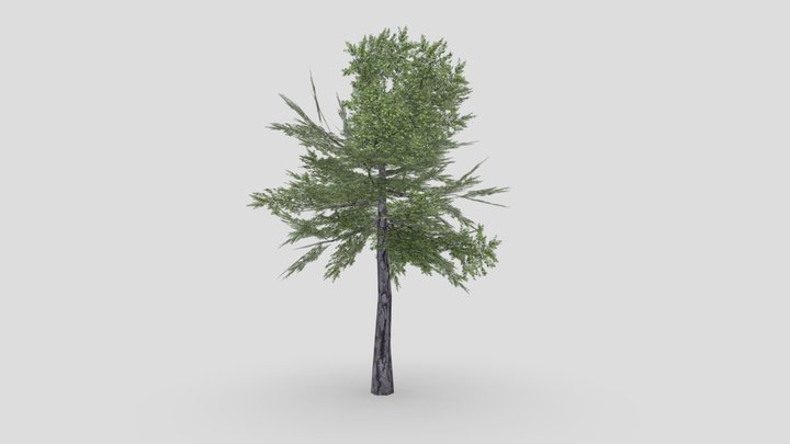 tree low-poly 3D Model